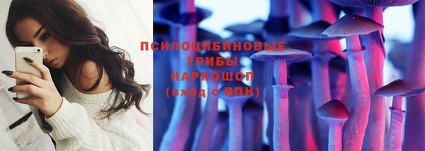 прущая мука Богородицк