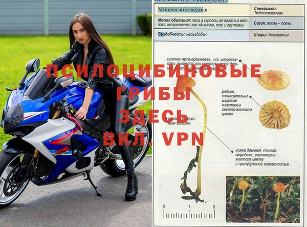 MDMA Premium VHQ Богданович