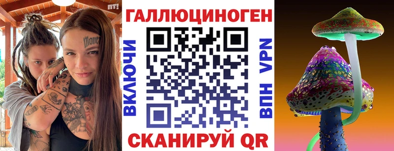 закладки  Михайловка  Галлюциногенные грибы мицелий 